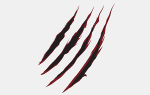 Les Groupes Seniors pour cette Future Saison