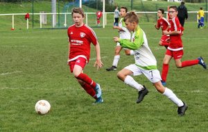 5db1627d23ed4_IMG0299.jpg
