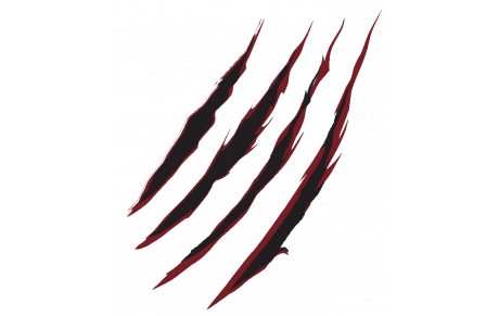 Les Groupes Seniors pour cette Future Saison