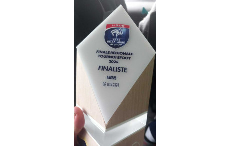 Alban Vice-champion régional e-Foot !!!